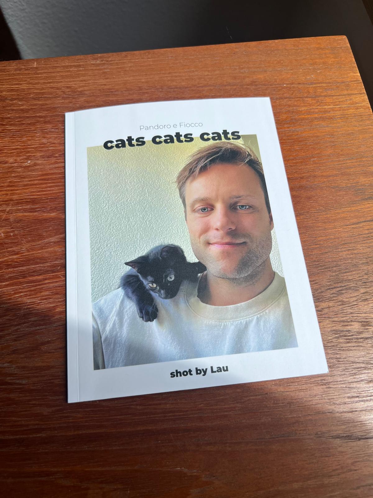 cats cats cats — Zine